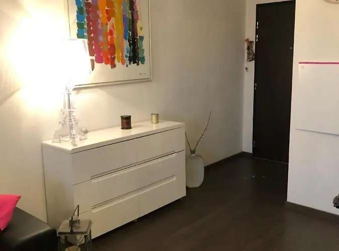 Joli T2 Recent 'le Vivaldi' Appartement Ajaccio (Corsica)